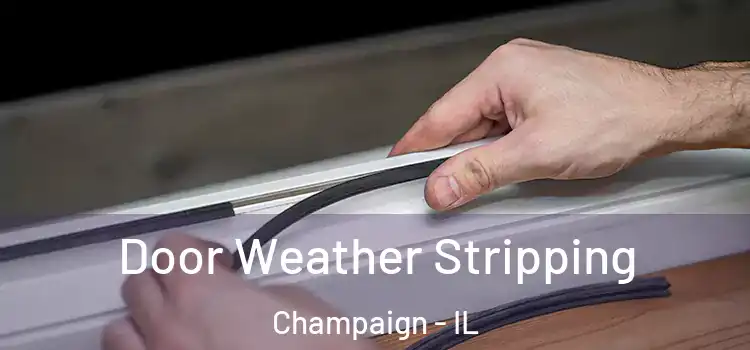  Door Weather Stripping Champaign - IL