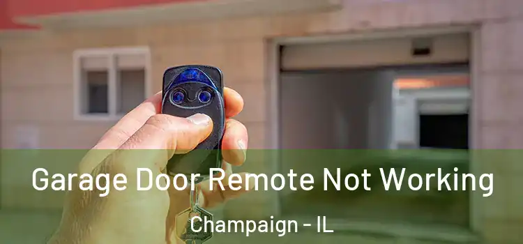  Garage Door Remote Not Working Champaign - IL