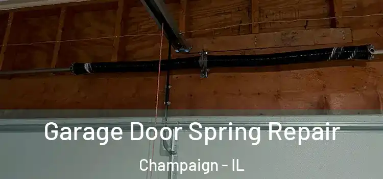  Garage Door Spring Repair Champaign - IL
