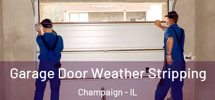  Garage Door Weather Stripping Champaign - IL