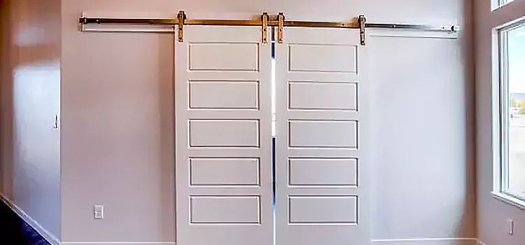 Glass Barn Door with Installation Hardware Kit Champaign
