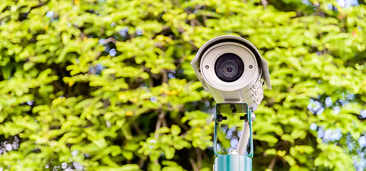 Advanced Surveillance Solutions for Every Need in Champaign