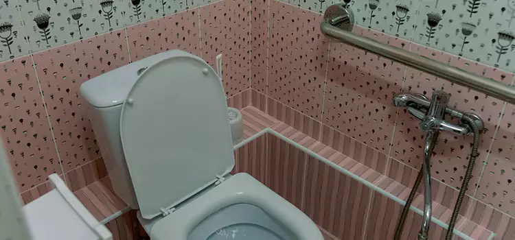Meeting Diverse Needs With Accessible Restroom Solutions in Champaign, IL