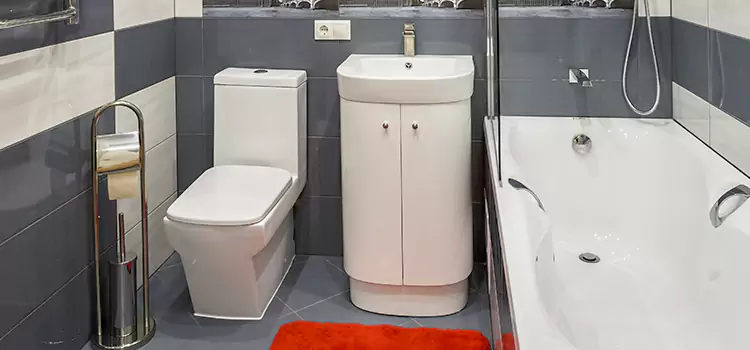 Hansgrohe Shaving Mirror Champaign