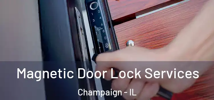  Magnetic Door Lock Services Champaign - IL
