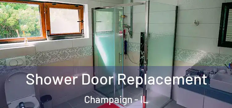 Shower Door Replacement Champaign - IL