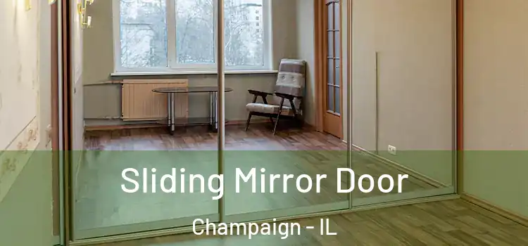  Sliding Mirror Door Champaign - IL