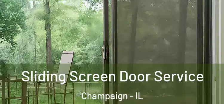  Sliding Screen Door Service Champaign - IL